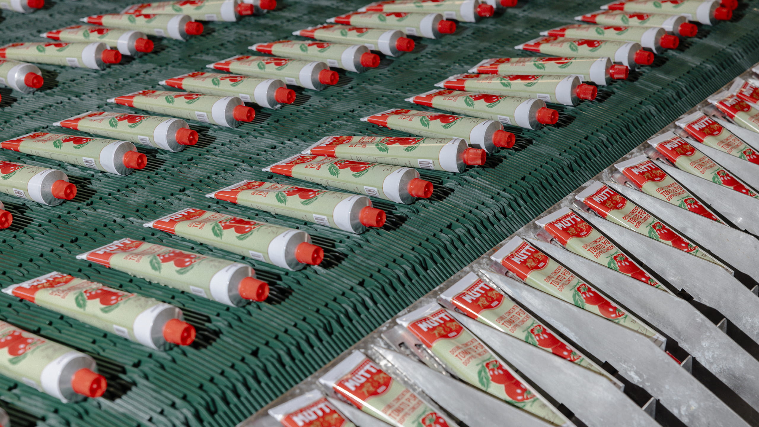 Rows of Mutti tomato paste tubes on a factory conveyor