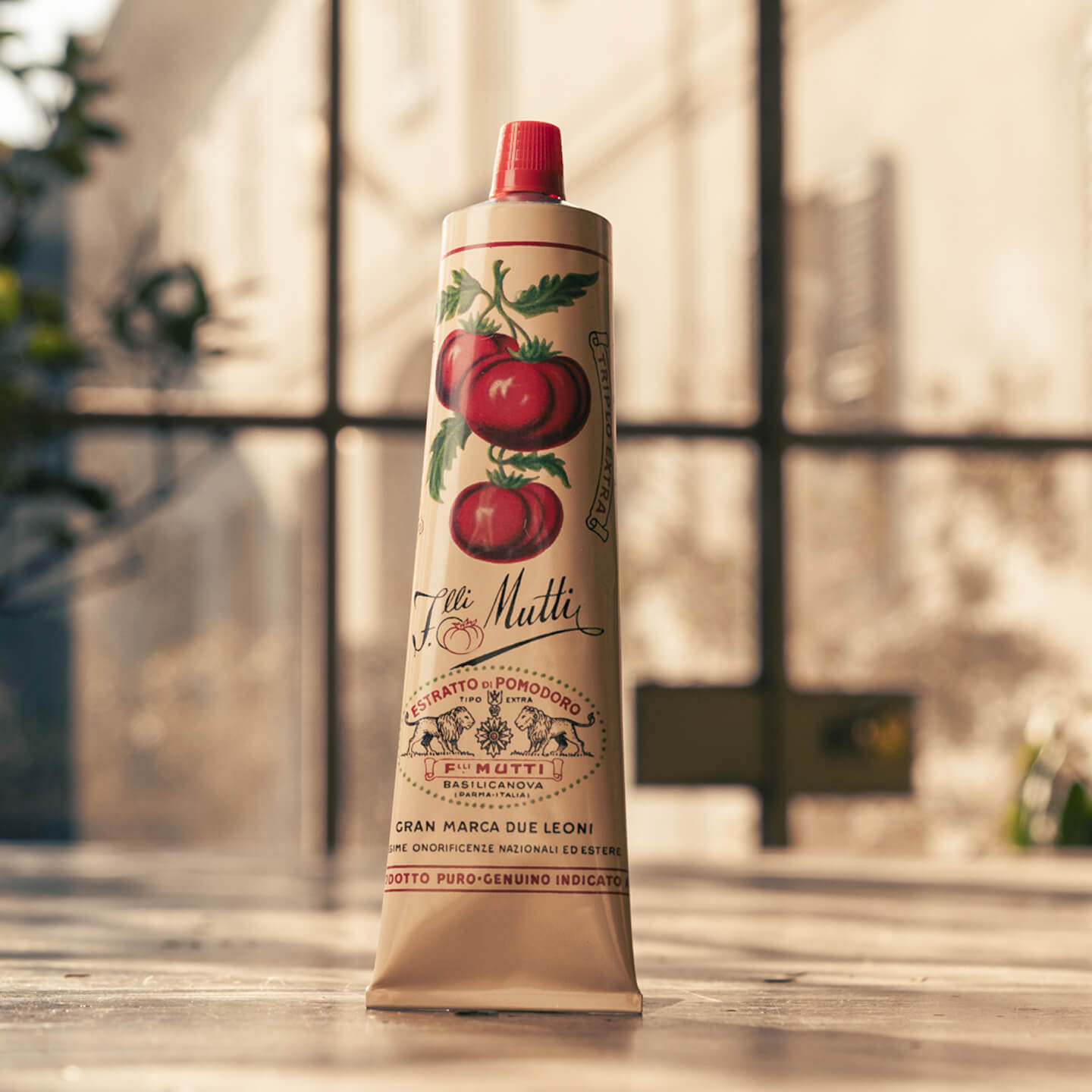 Vintage Mutti tomato extract tube standing on a wooden table outdoors
