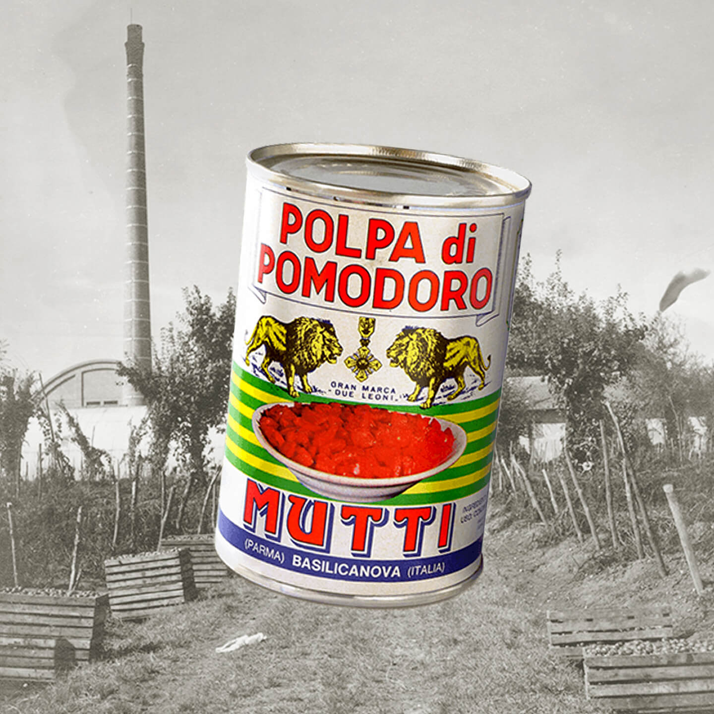 Mutti Polpa di Pomodoro tin displayed over a vintage black-and-white field photo