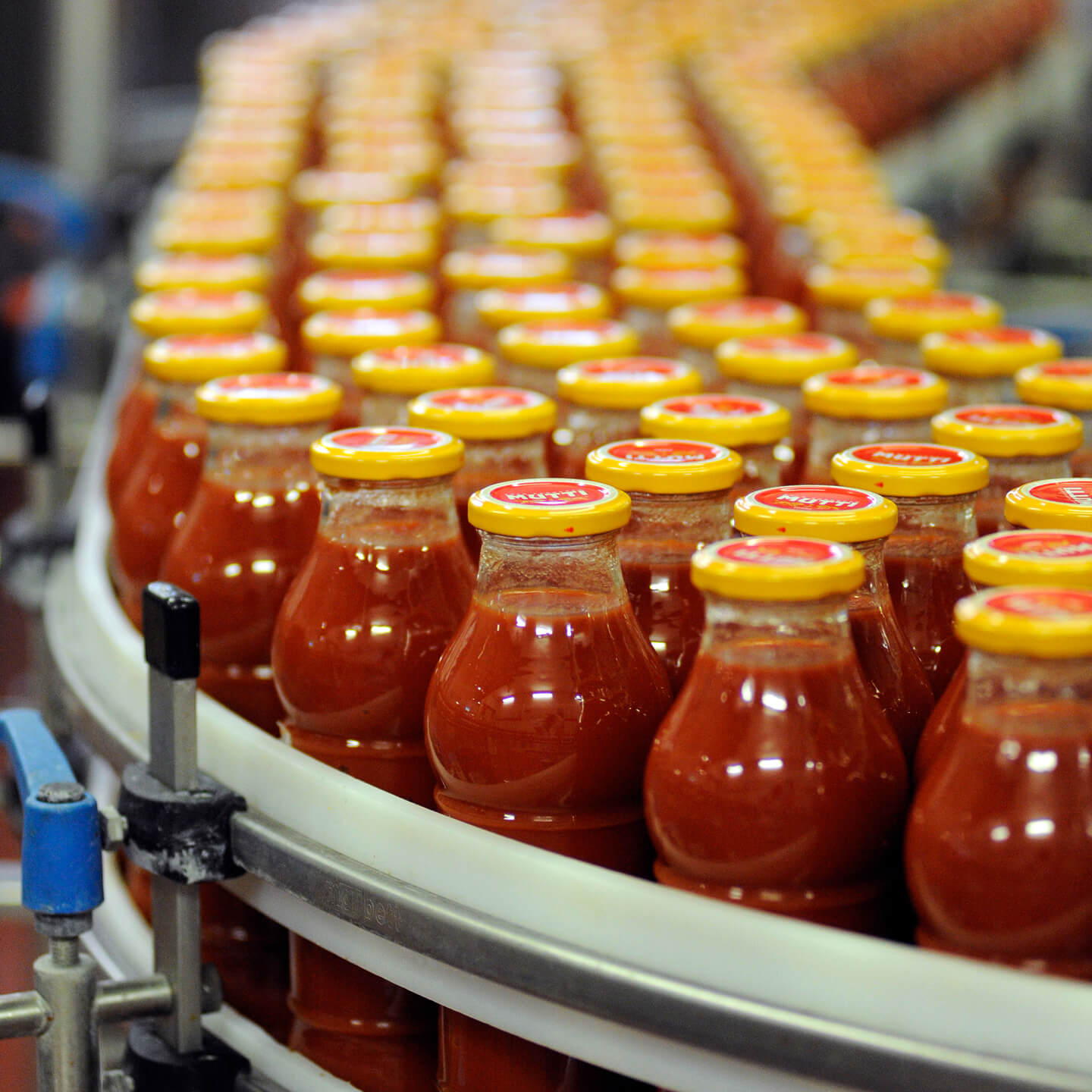 Rows of Mutti passata bottles moving along a factory conveyor belt