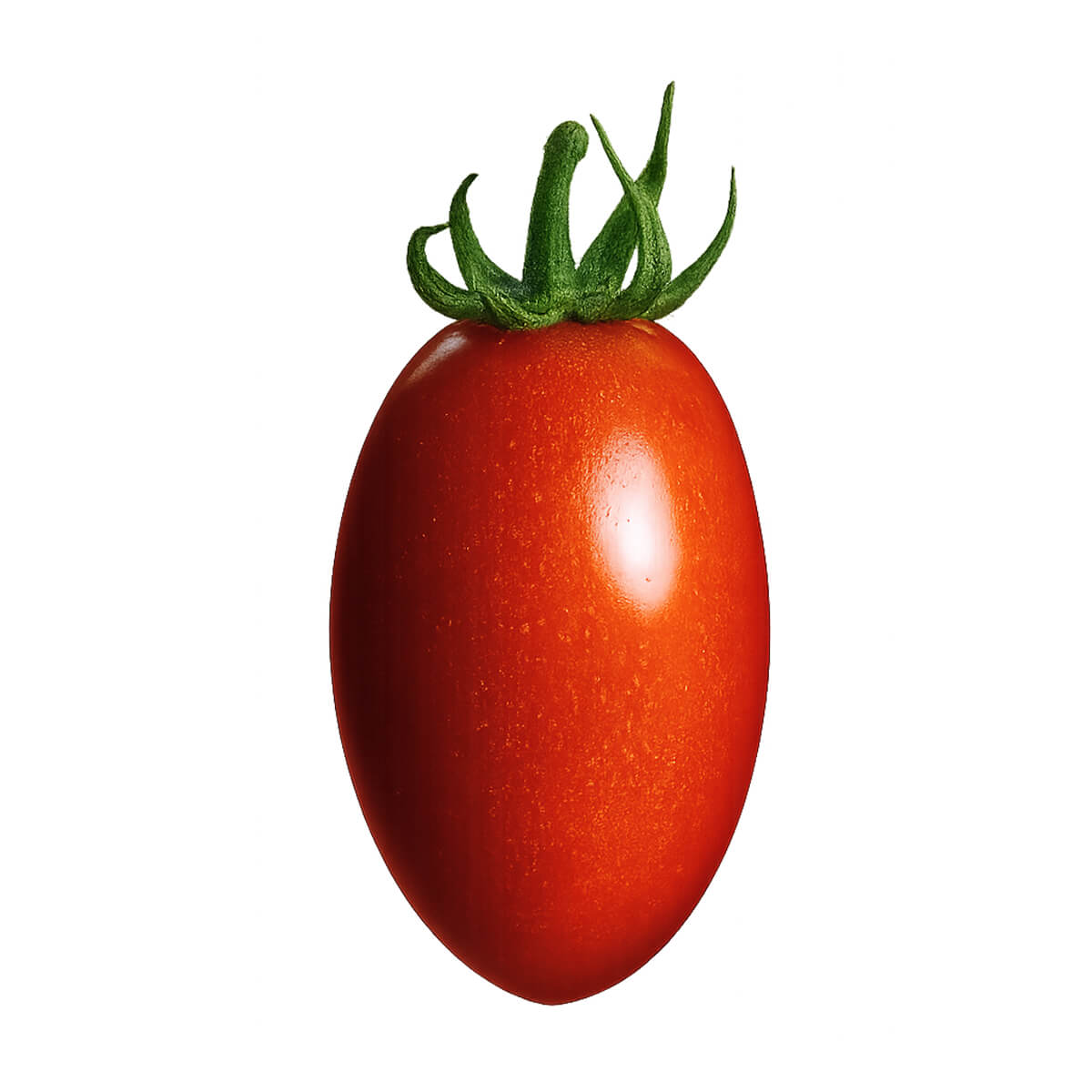 Baby Roma Tomato, small and elongated with deep red skin