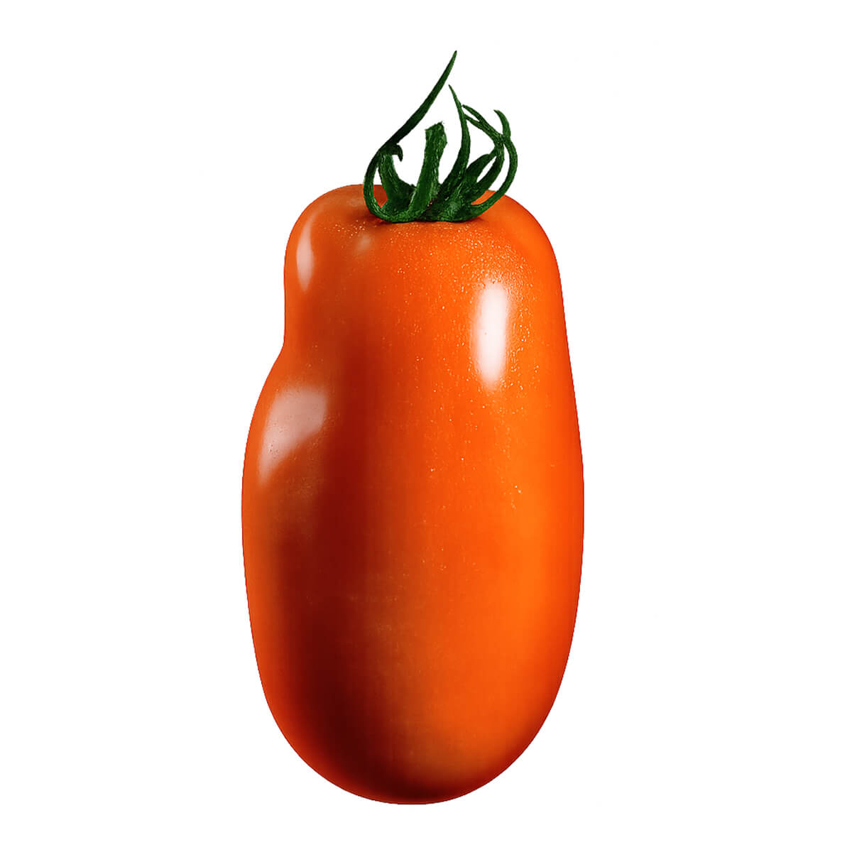 Plum Tomato with an elongated shape and orange-red skin