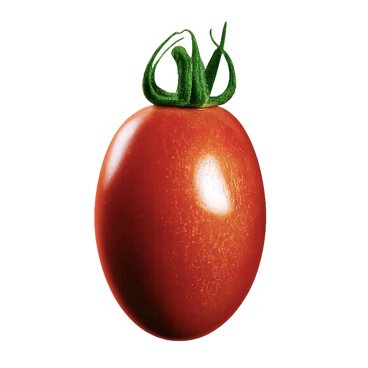 Close-up of a Round Tomato with a green calyx attached