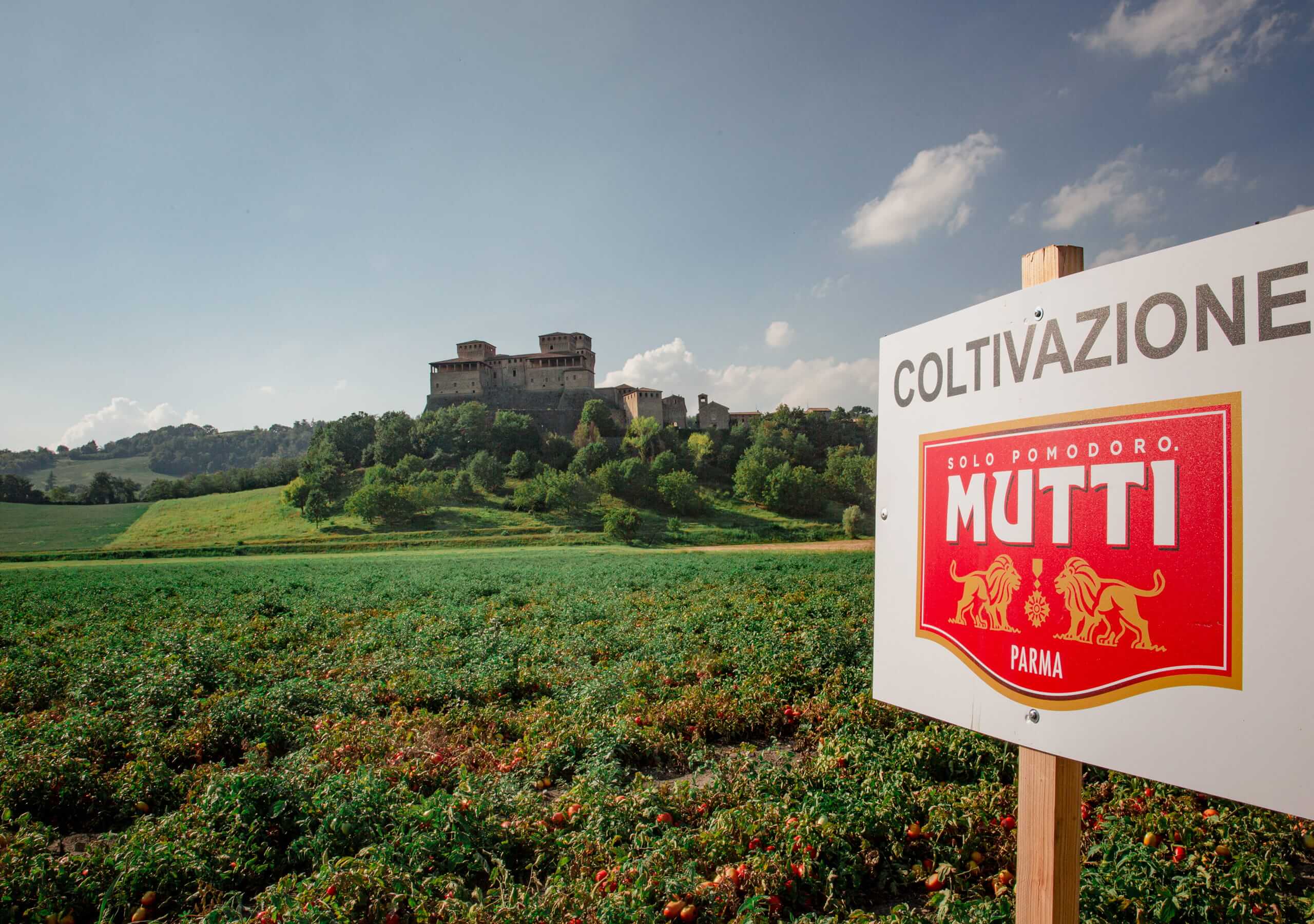 Mutti cultivation sign in a tomato field with a hilltop castle