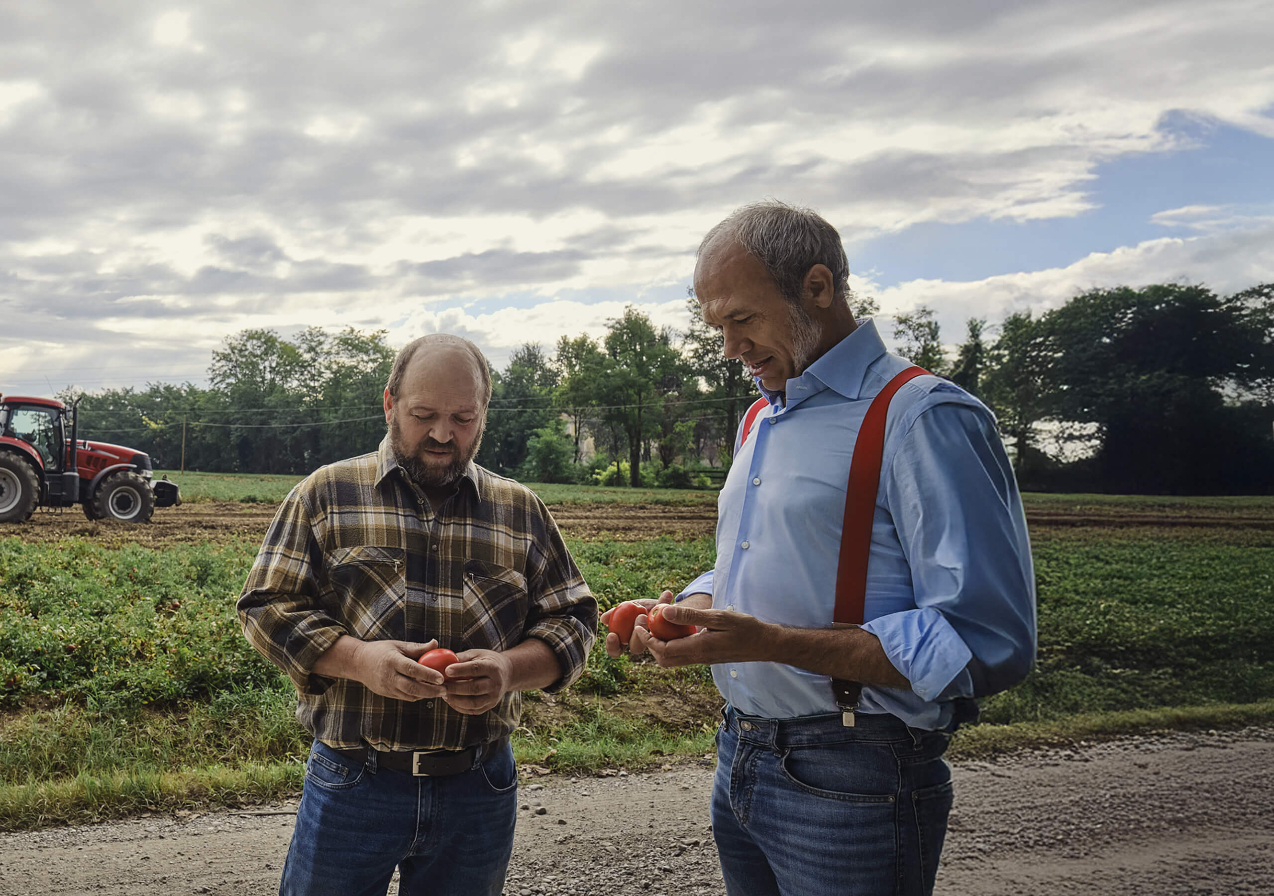Two men examining ripe tomatoes at the edge of a harvested field