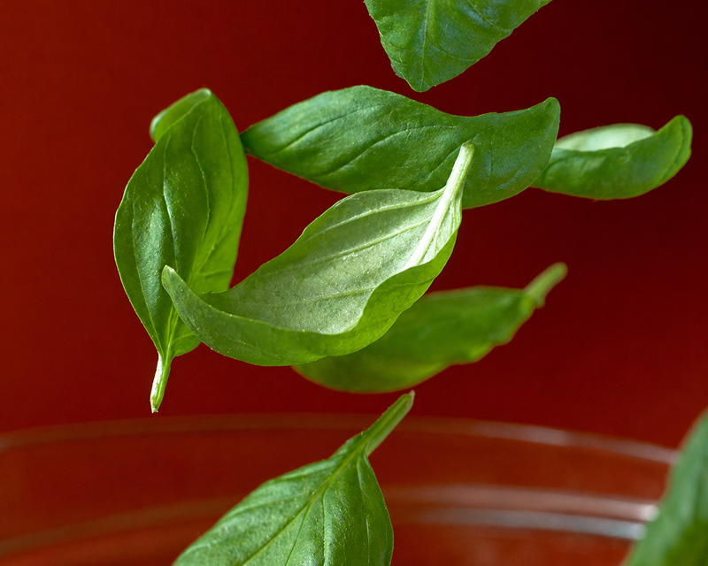 Fresh basil leaves falling into a bowl of tomato sauce