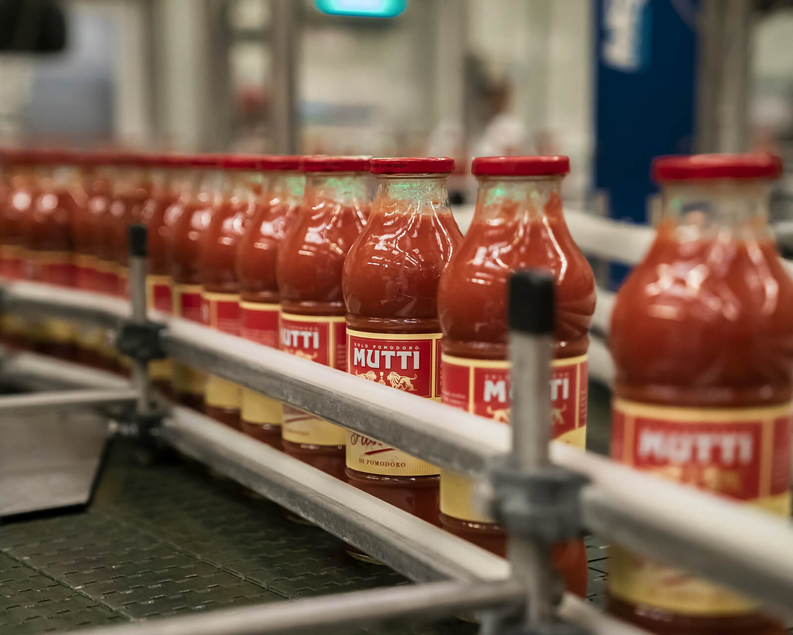 Mutti passata jars lined up on the factory production line