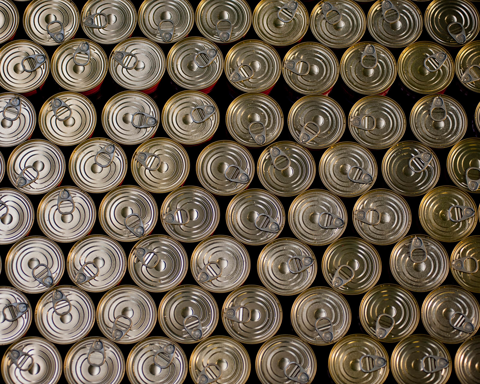 Rows of sealed tomato cans viewed from directly above