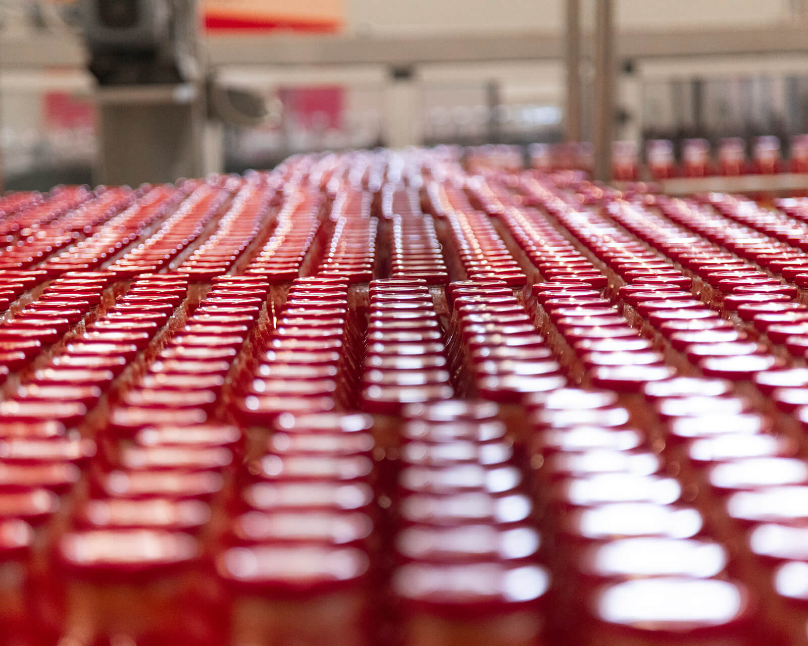 Rows of filled Mutti sauce jars moving along the factory production line