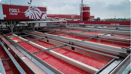 Mutti Group: +13% in revenue and launch of Mutti Poland