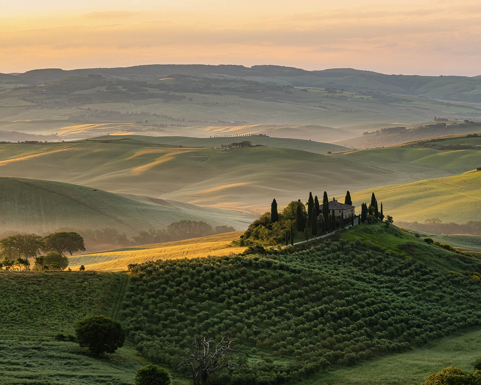 Tuscan hills with a hilltop farmhouse and cypress trees at sunrise