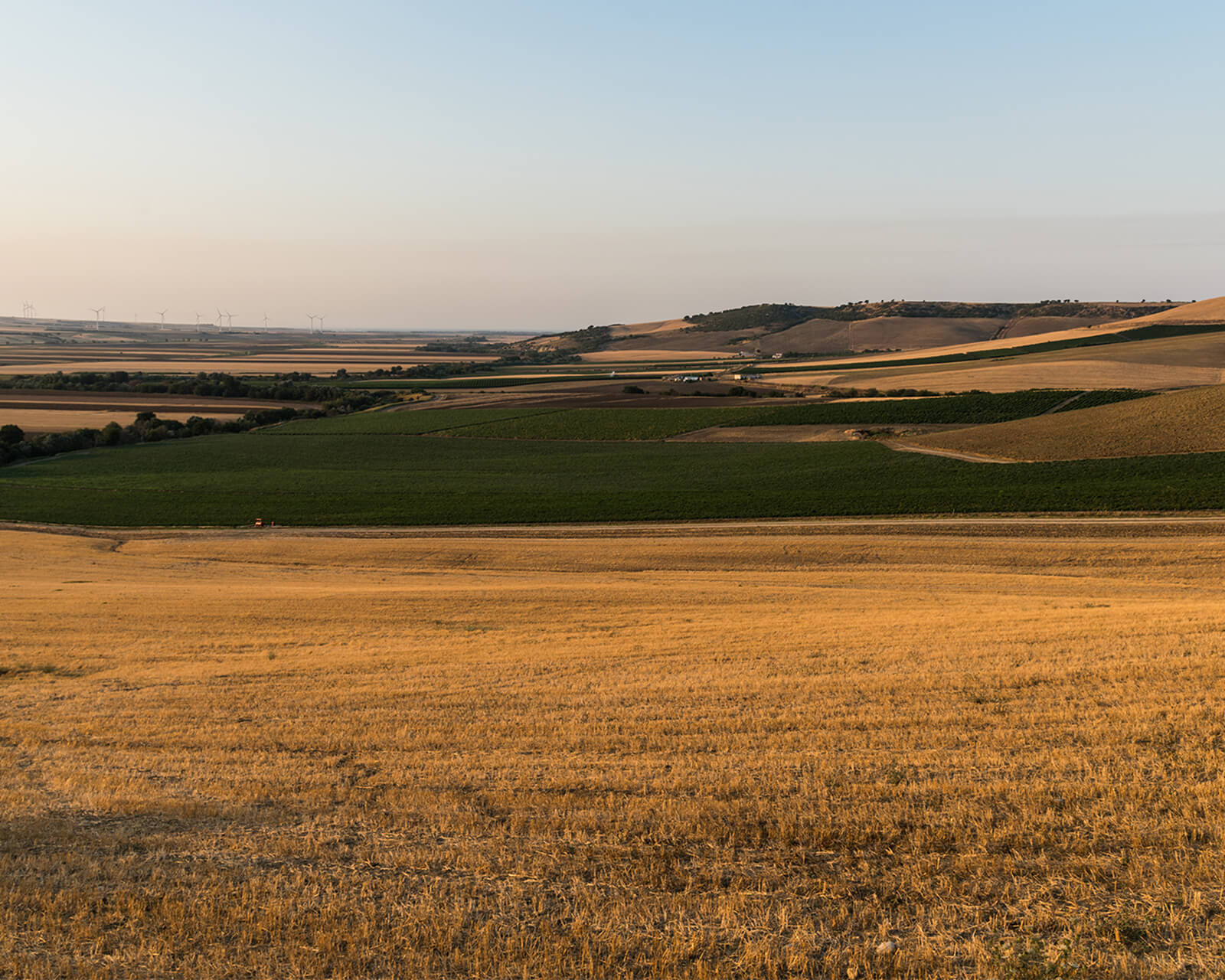 Golden harvested fields in the Tavoliere delle Puglie, Apulia