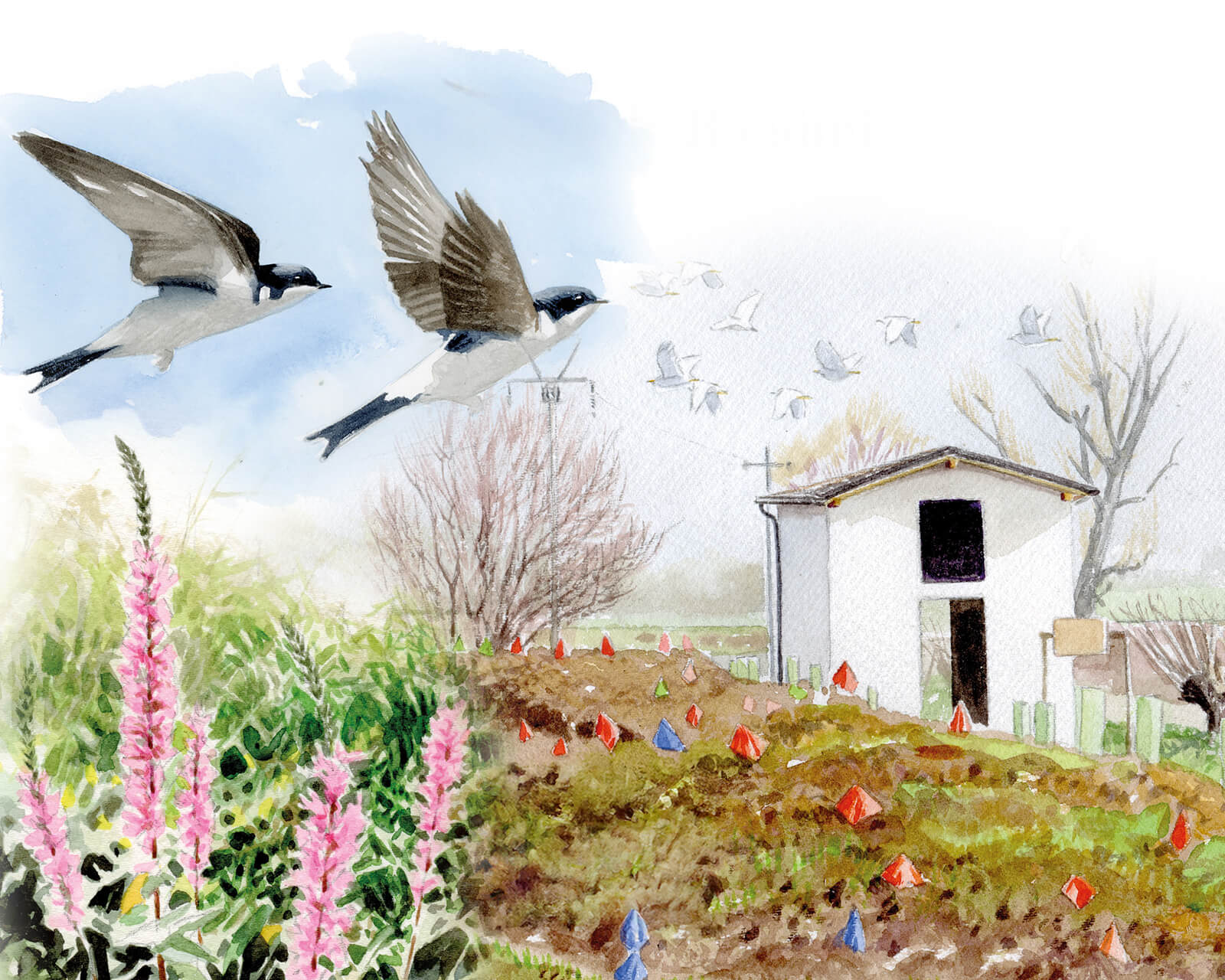 Illustrated swallows flying over a birdhouse amid wildflowers