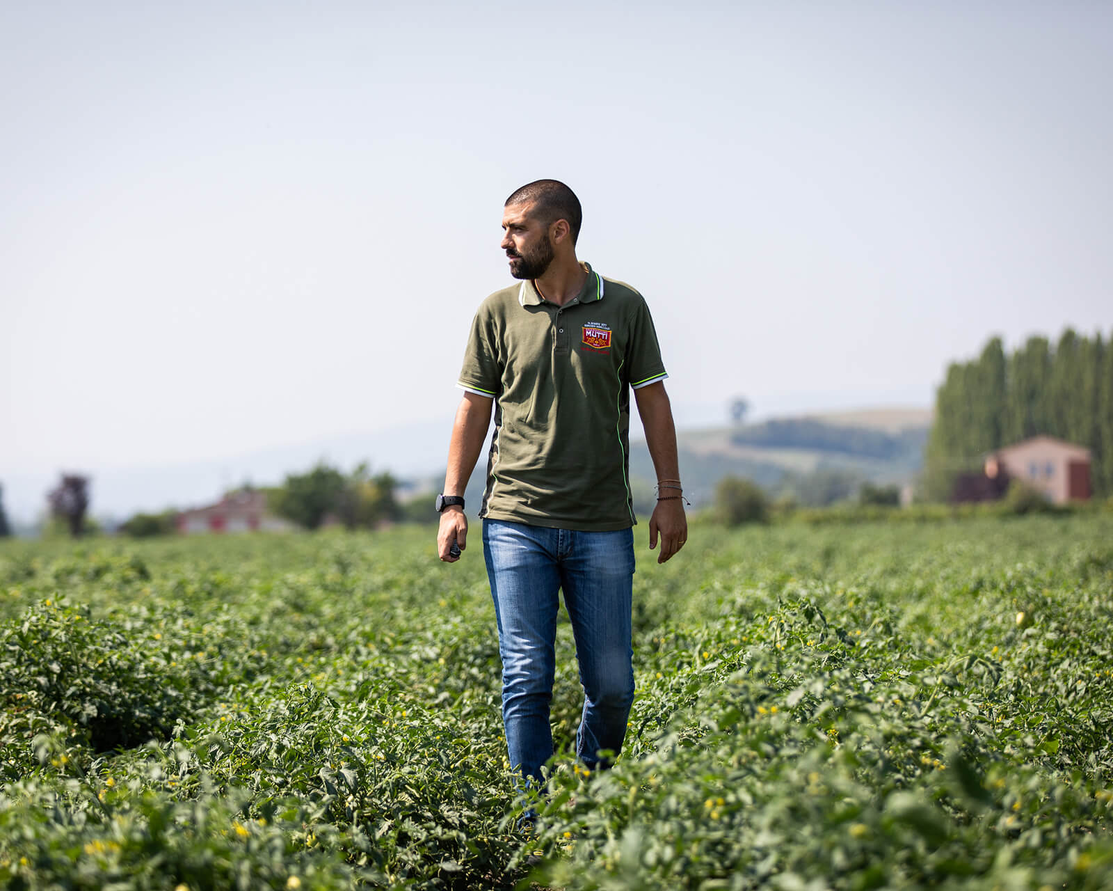 Mutti worker walking through a tomato field in a green polo