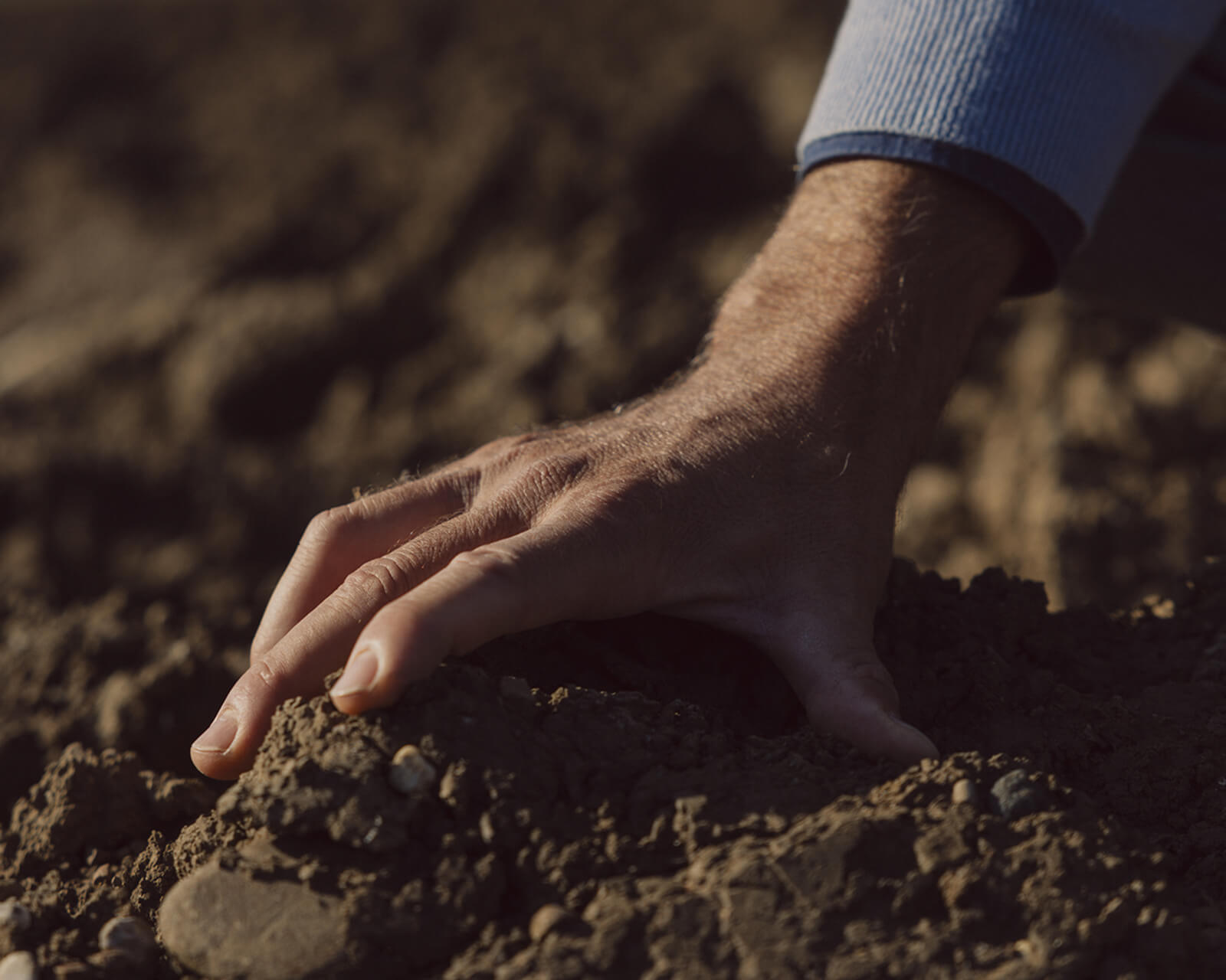 Farmer's hand pressing into freshly tilled soil