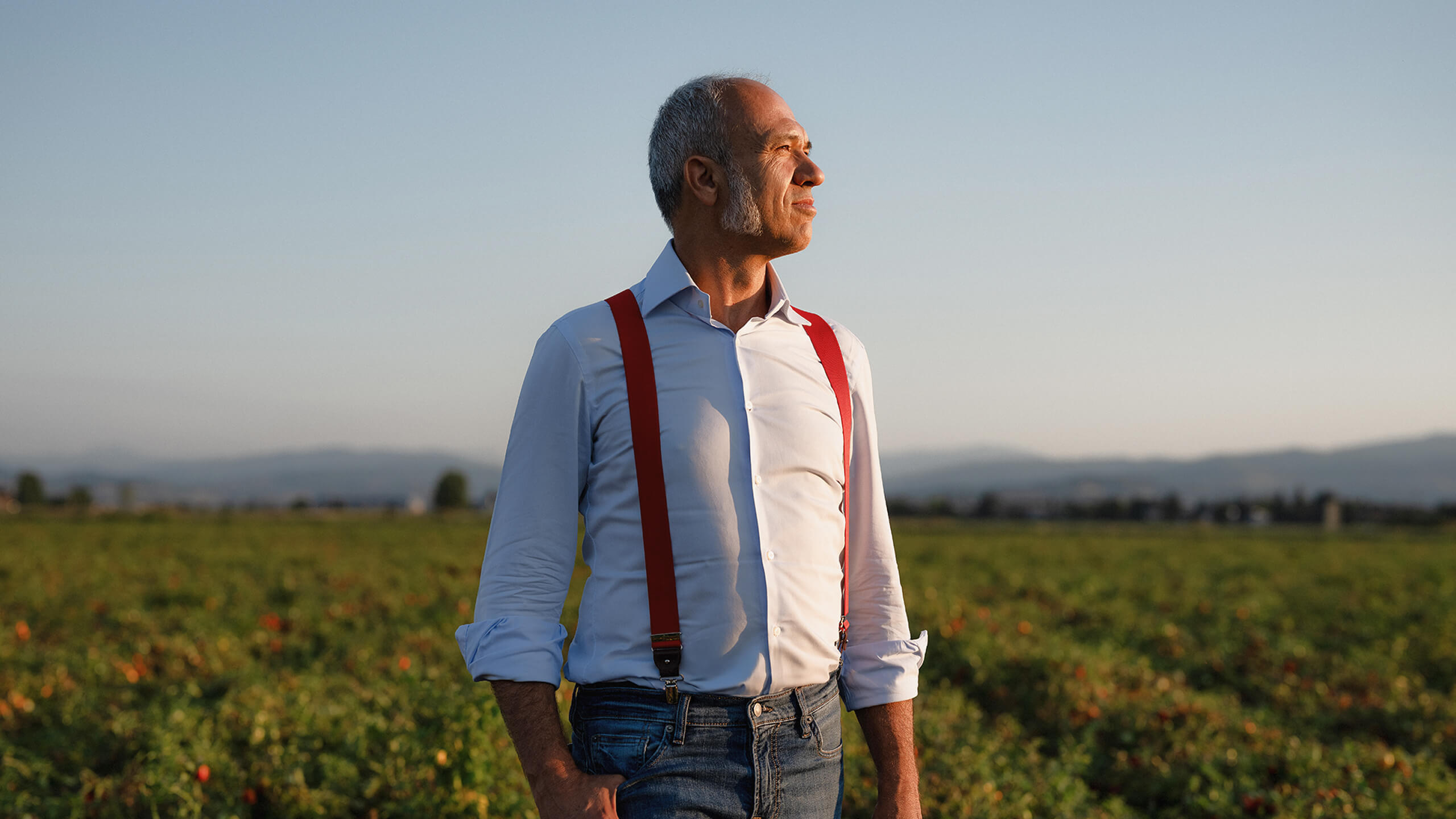 Man in red braces standing in a tomato field at dusk