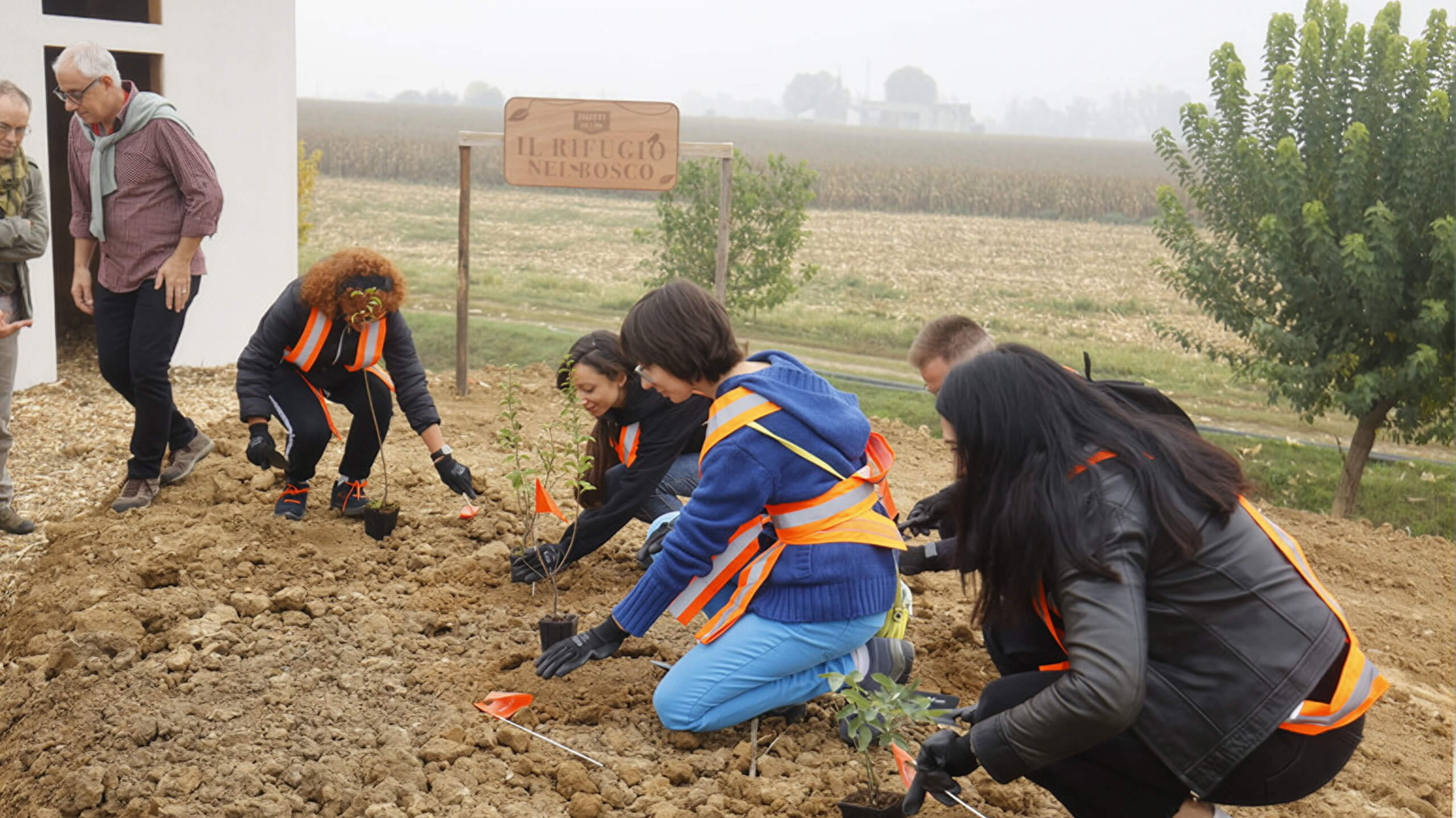 Volunteers planting seedlings near the Swallows House building