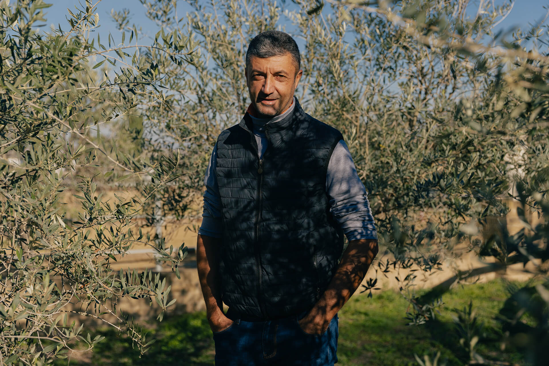 Mutti farmer standing among olive trees in an orchard