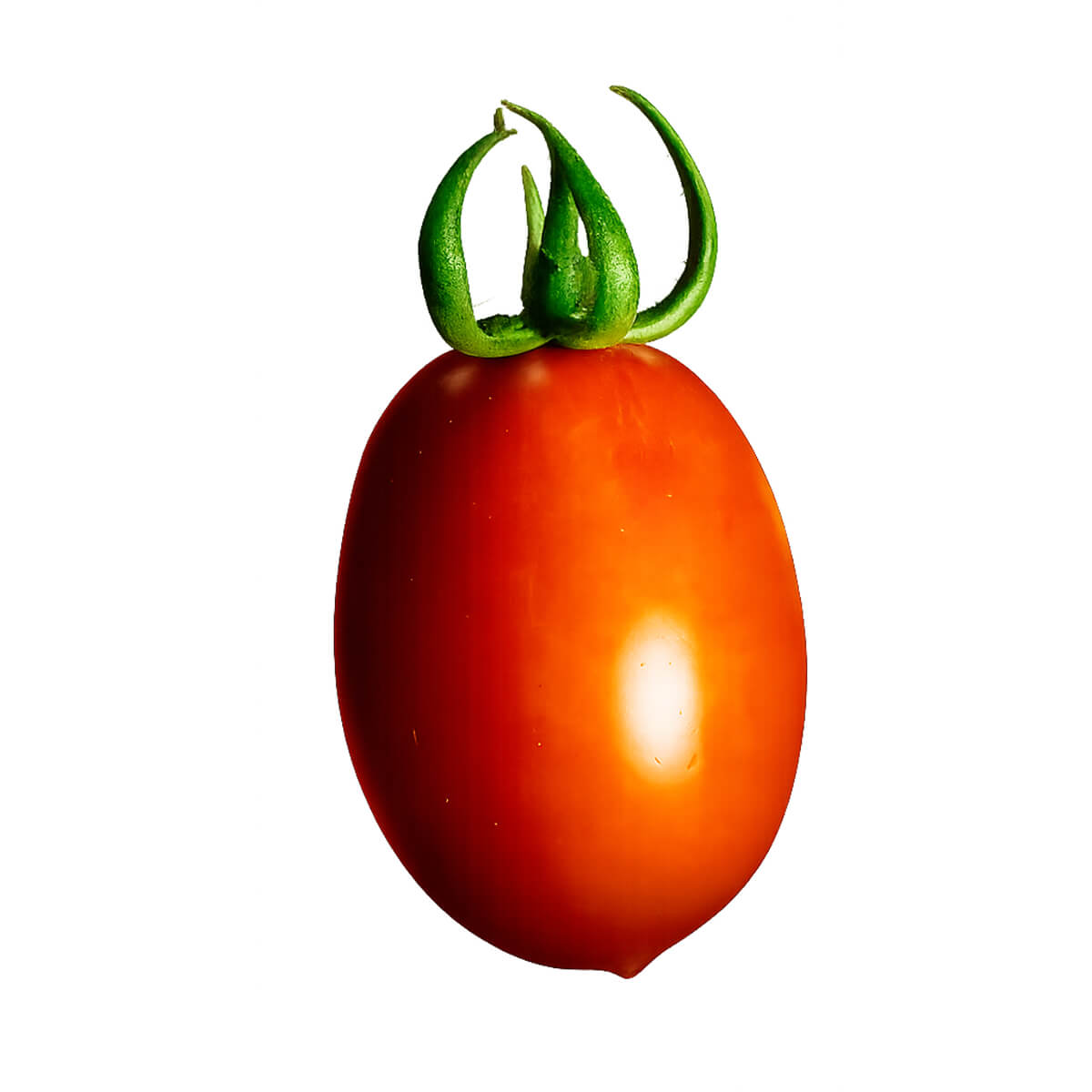 Pizzutello Tomato with a pointed tip and curly green calyx