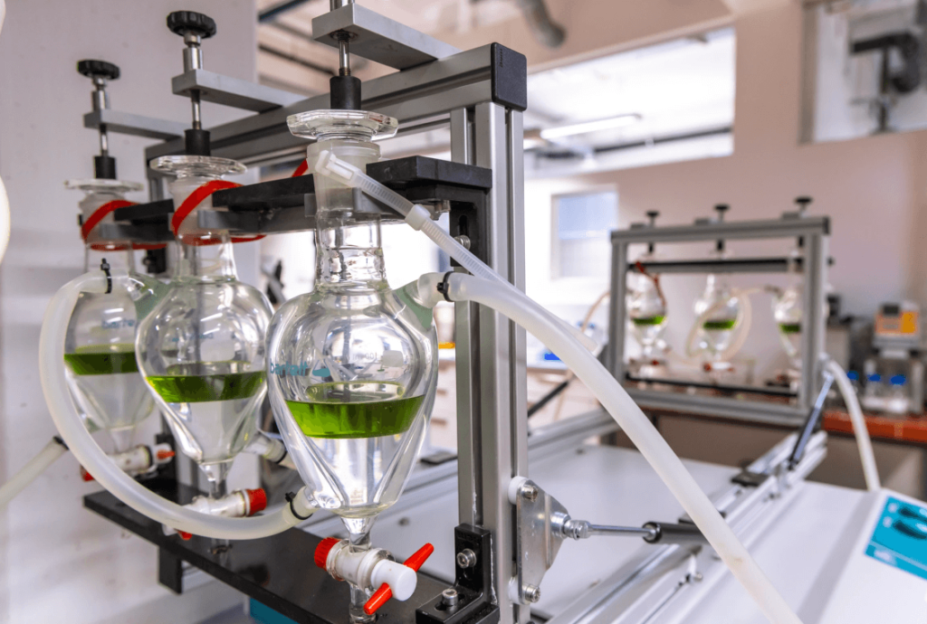 Horizon Europe Project ToFuel Enters Implementation Phase to Develop Sustainable Aviation Fuel from Tomato Residues