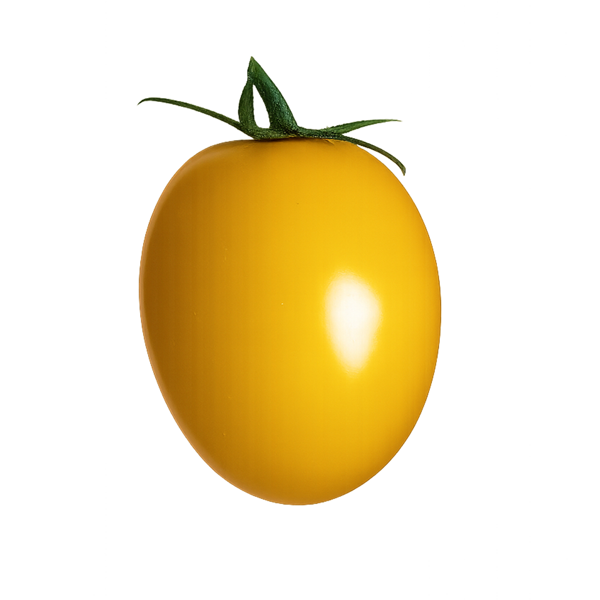 Yellow Round Tomato with smooth golden skin