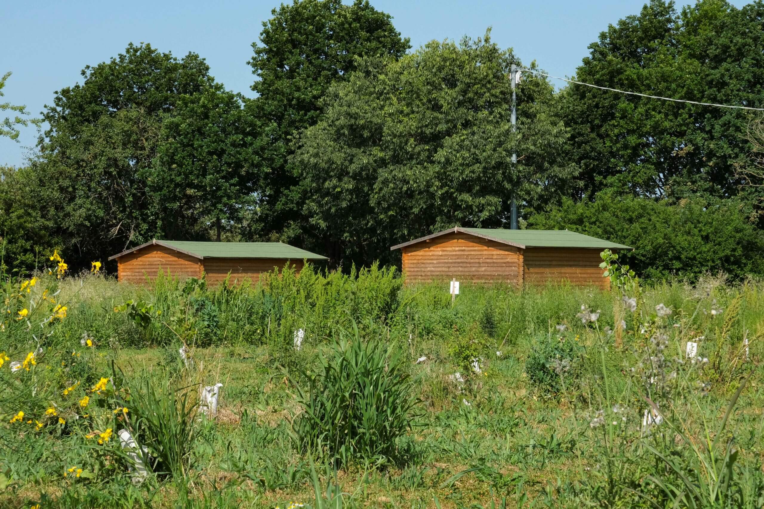 Wooden cabins in a wildflower meadow at a Mutti biodiversity site