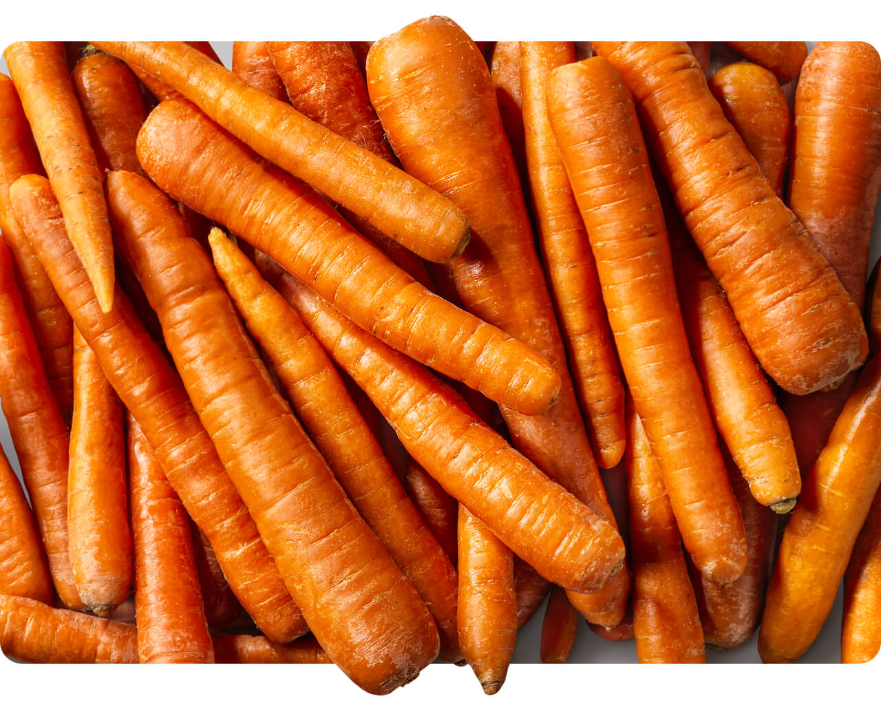Pile of whole fresh carrots