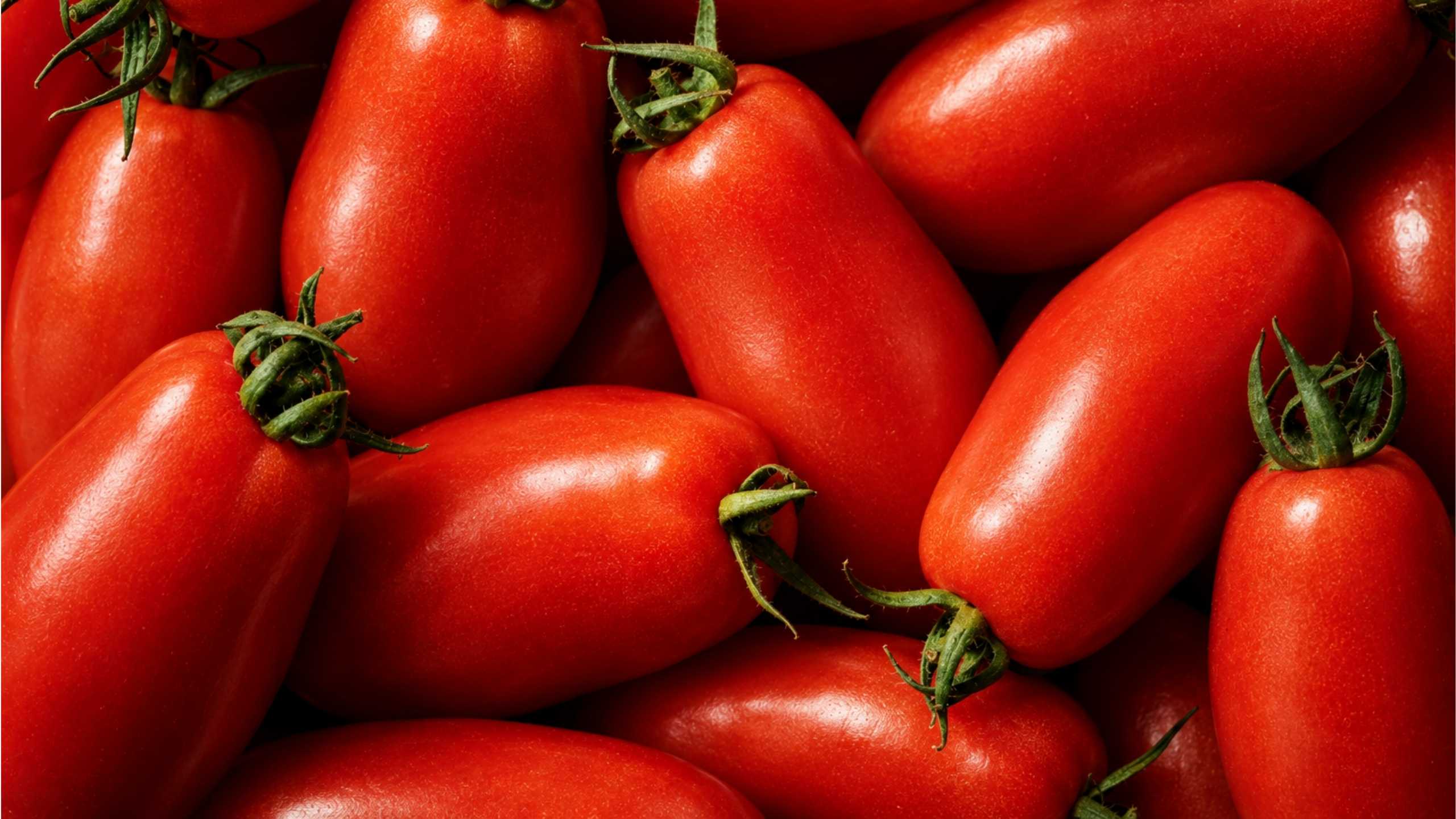 Pattern of ripe San Marzano tomatoes with stems