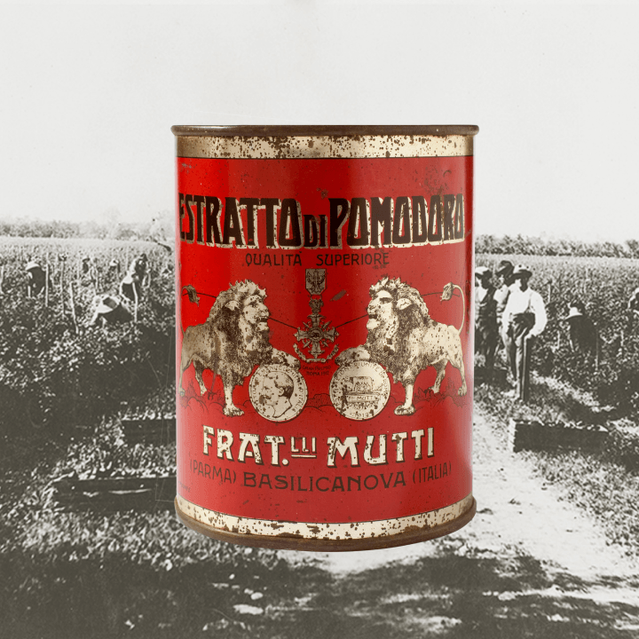Vintage Mutti tomato extract tin with lion emblem over a tomato field
