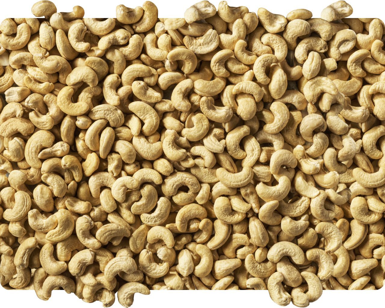 Pile of whole cashew nuts