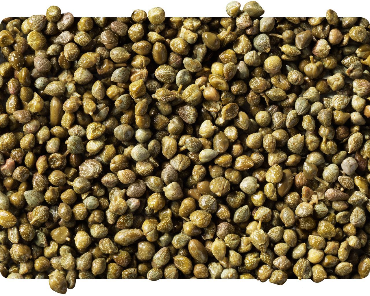 Close-up pile of whole capers
