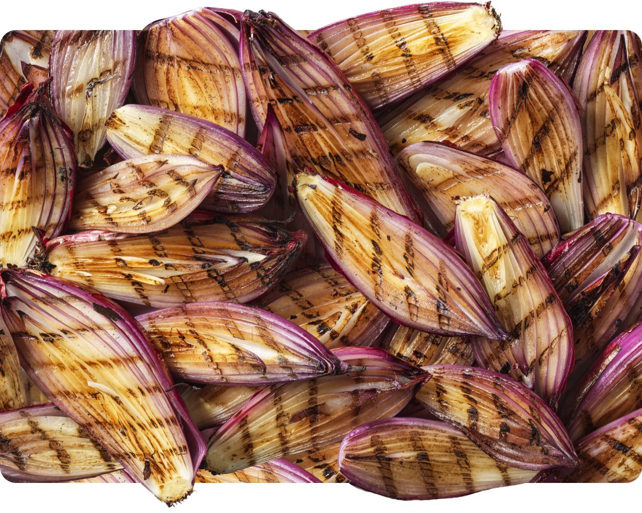 Grilled Tropea red onion wedges with char marks