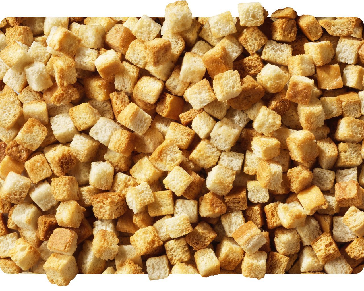 Golden toasted bread croutons in close-up