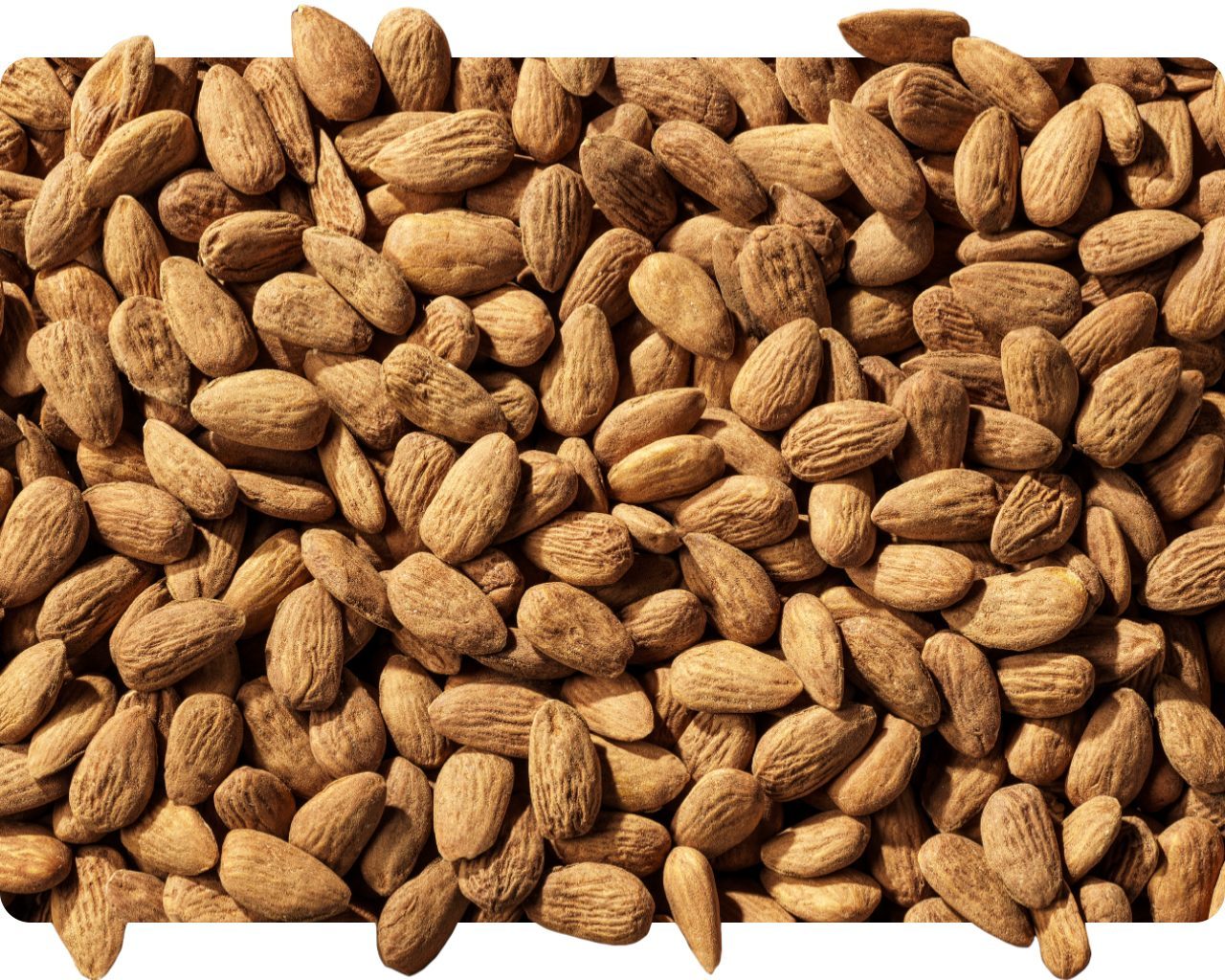 Pile of whole raw almonds