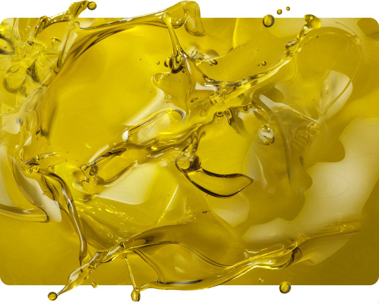 Splash of golden extra virgin olive oil with droplets