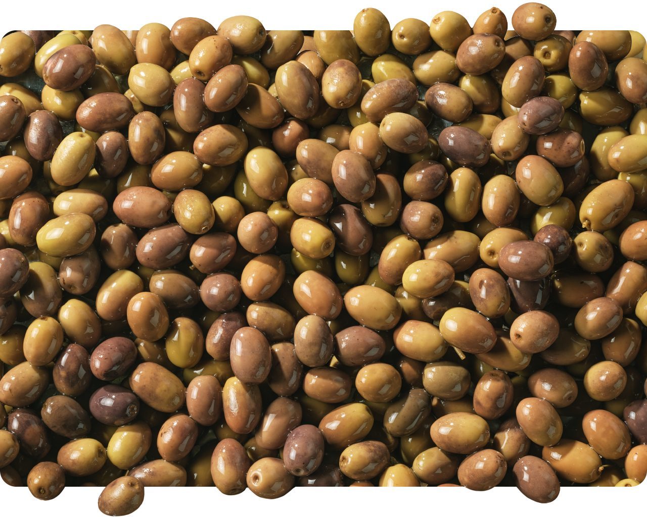 Pile of Leccino black olives