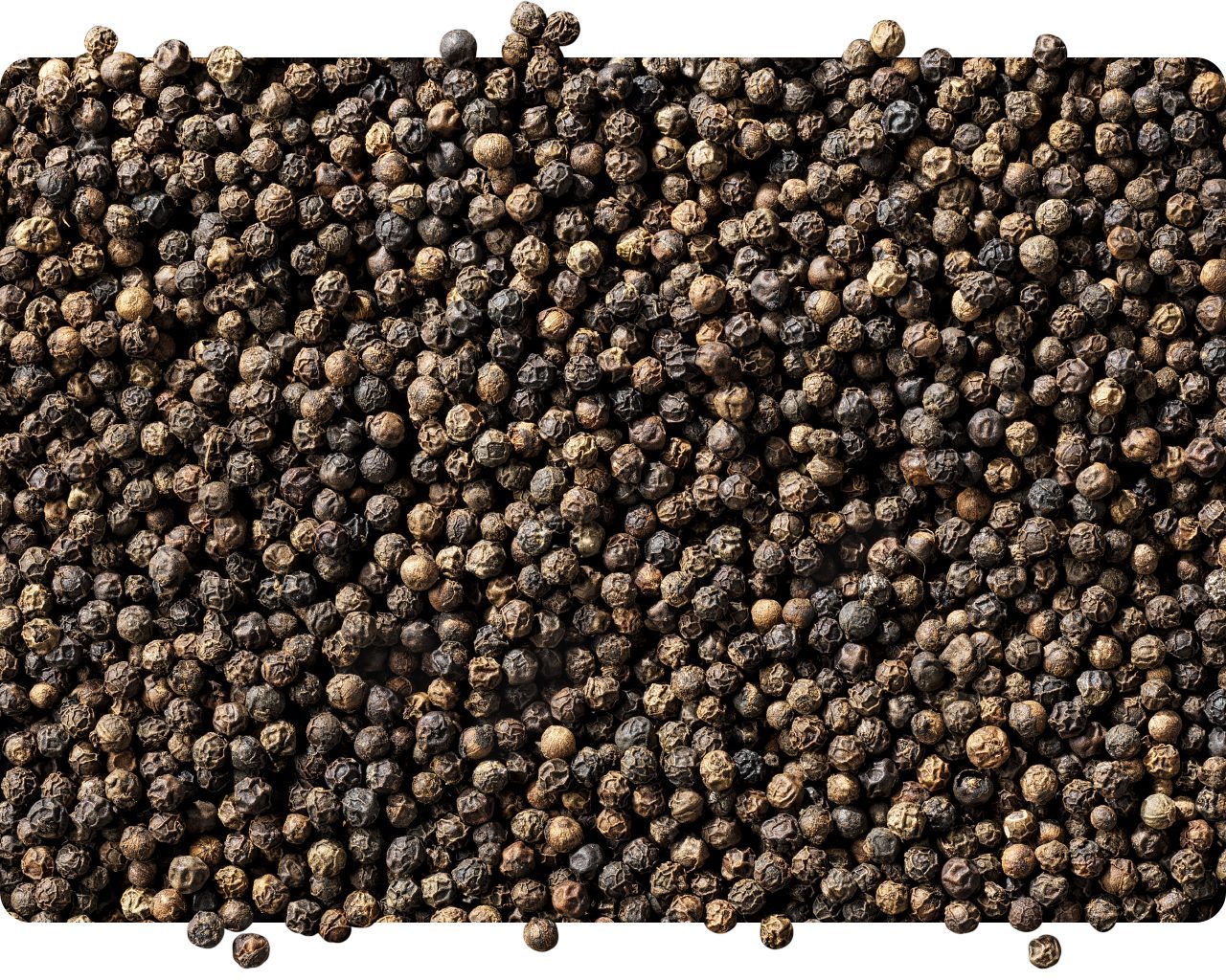 Overhead close-up of whole black peppercorns