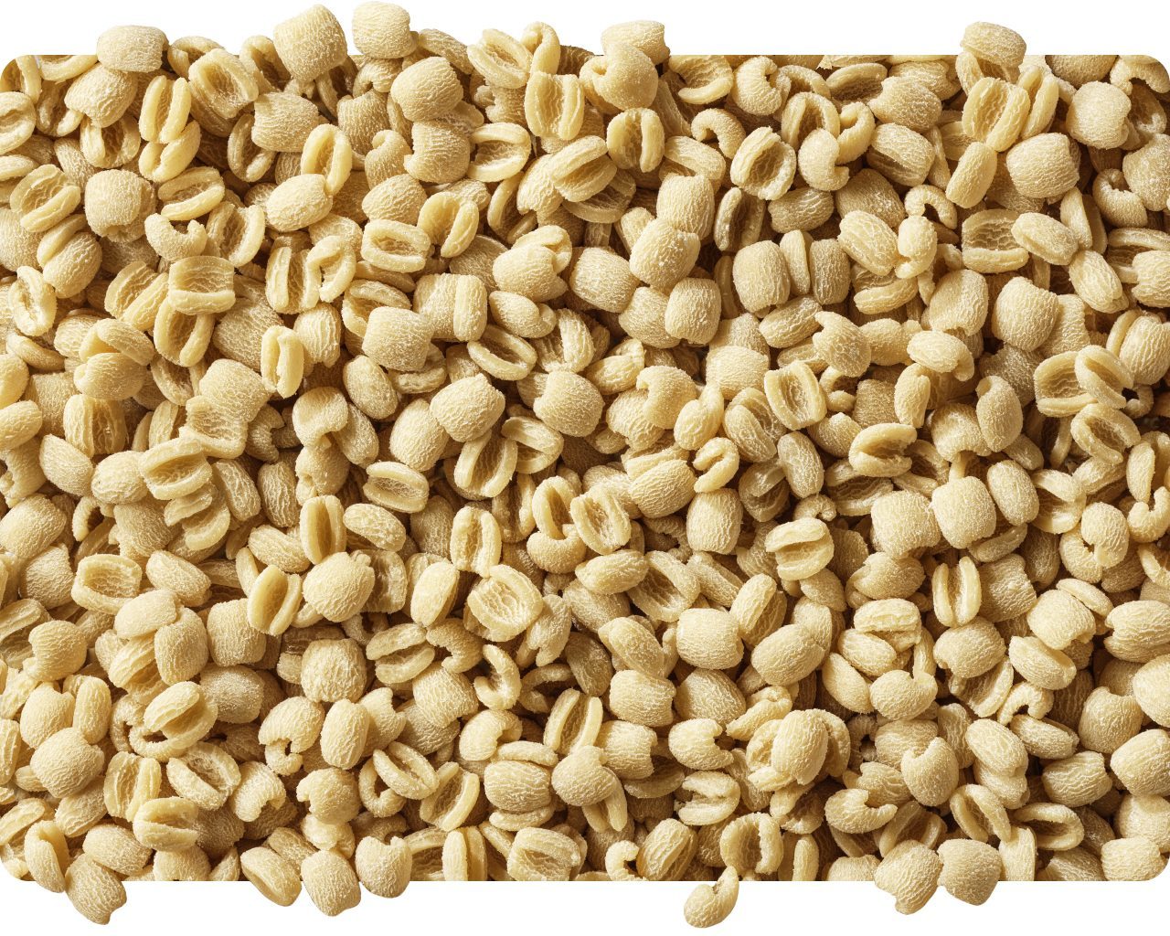 Dried pisarei pasta shapes in close-up