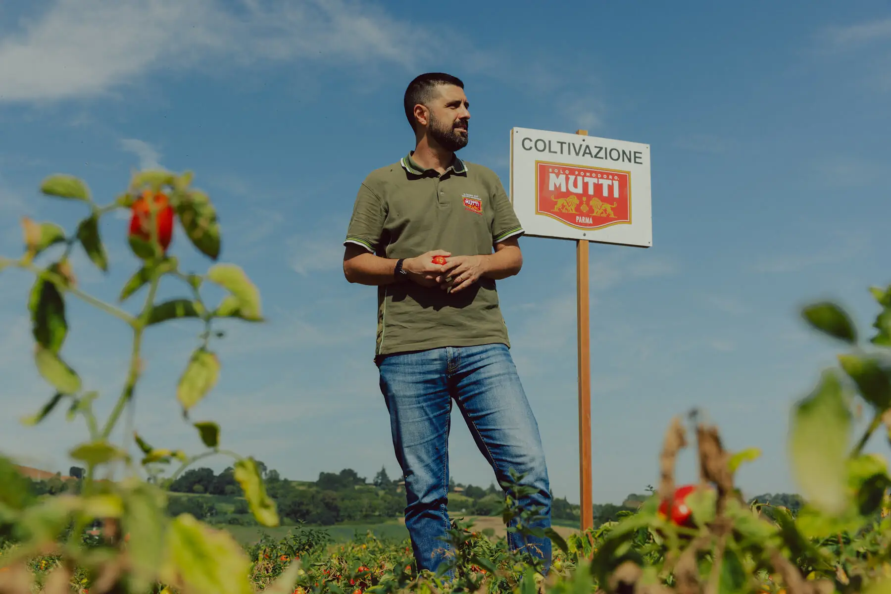 Farmer standing beside a Mutti cultivation sign in a tomato field