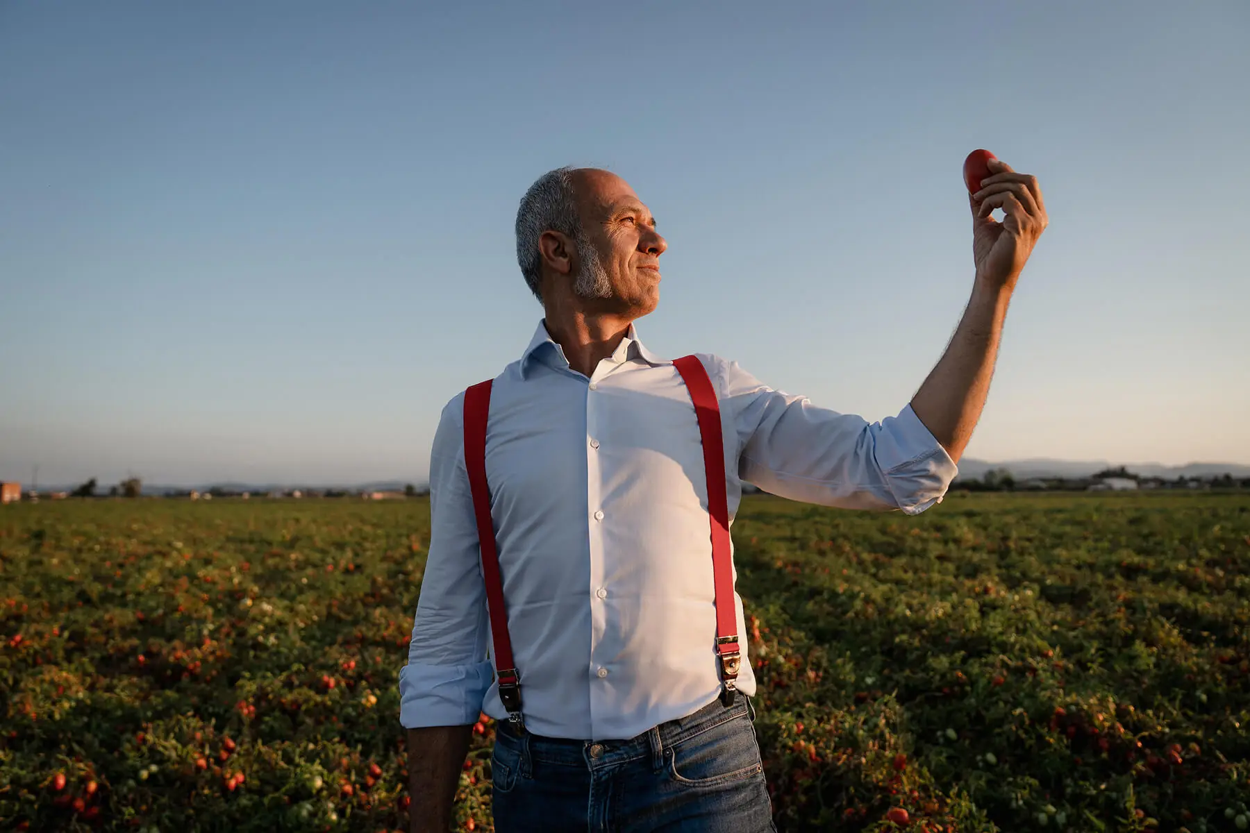 Man holding a ripe tomato up against the sky in a field