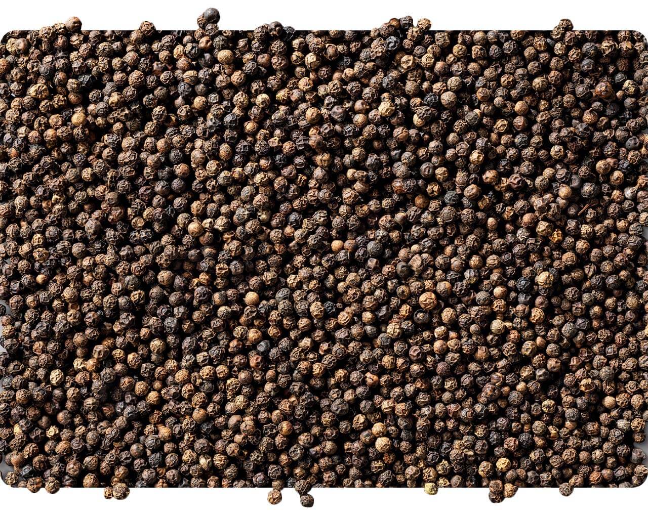 Black peppercorns scattered across the frame