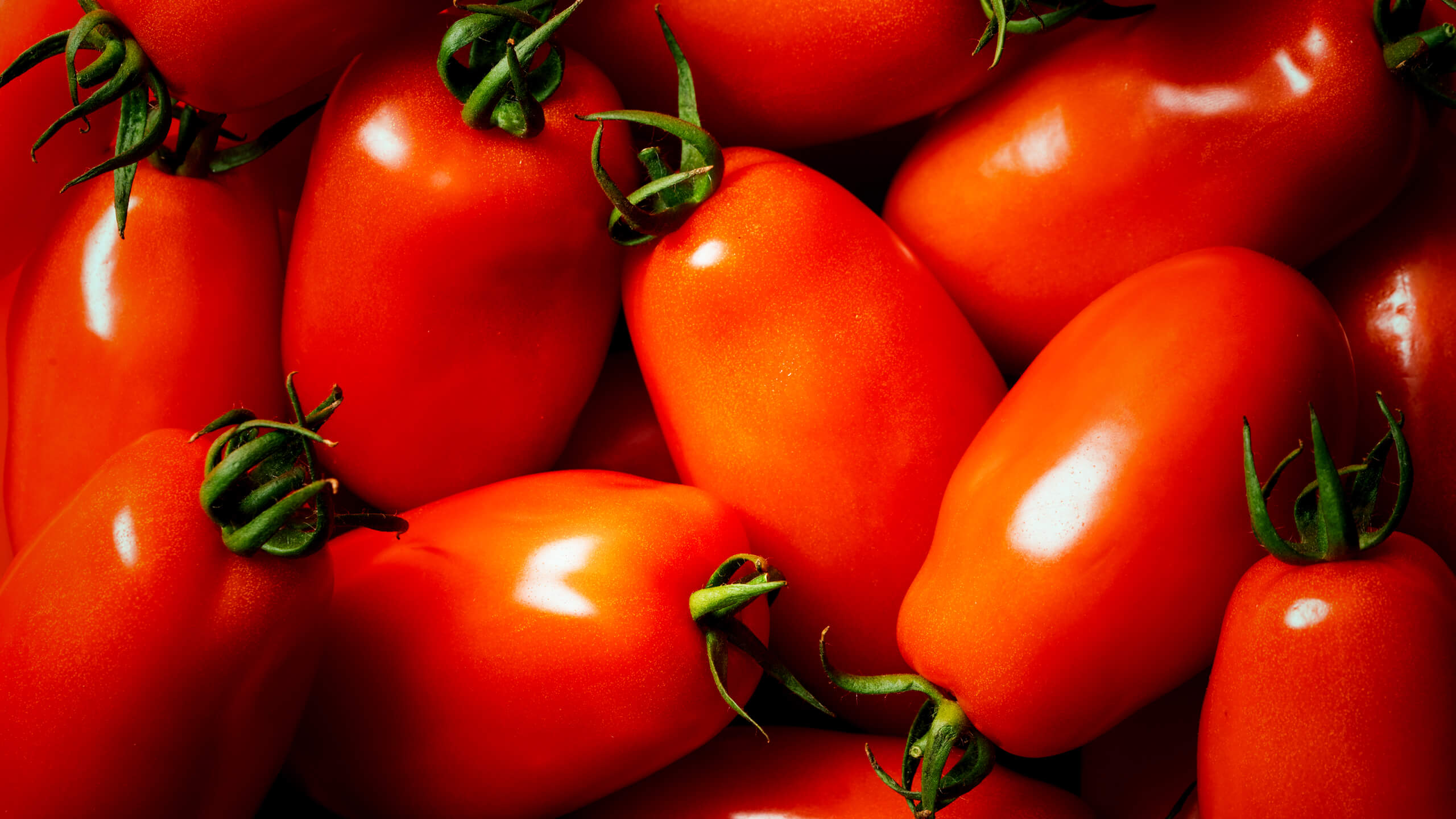 Close-up of ripe elongated plum tomatoes with stems