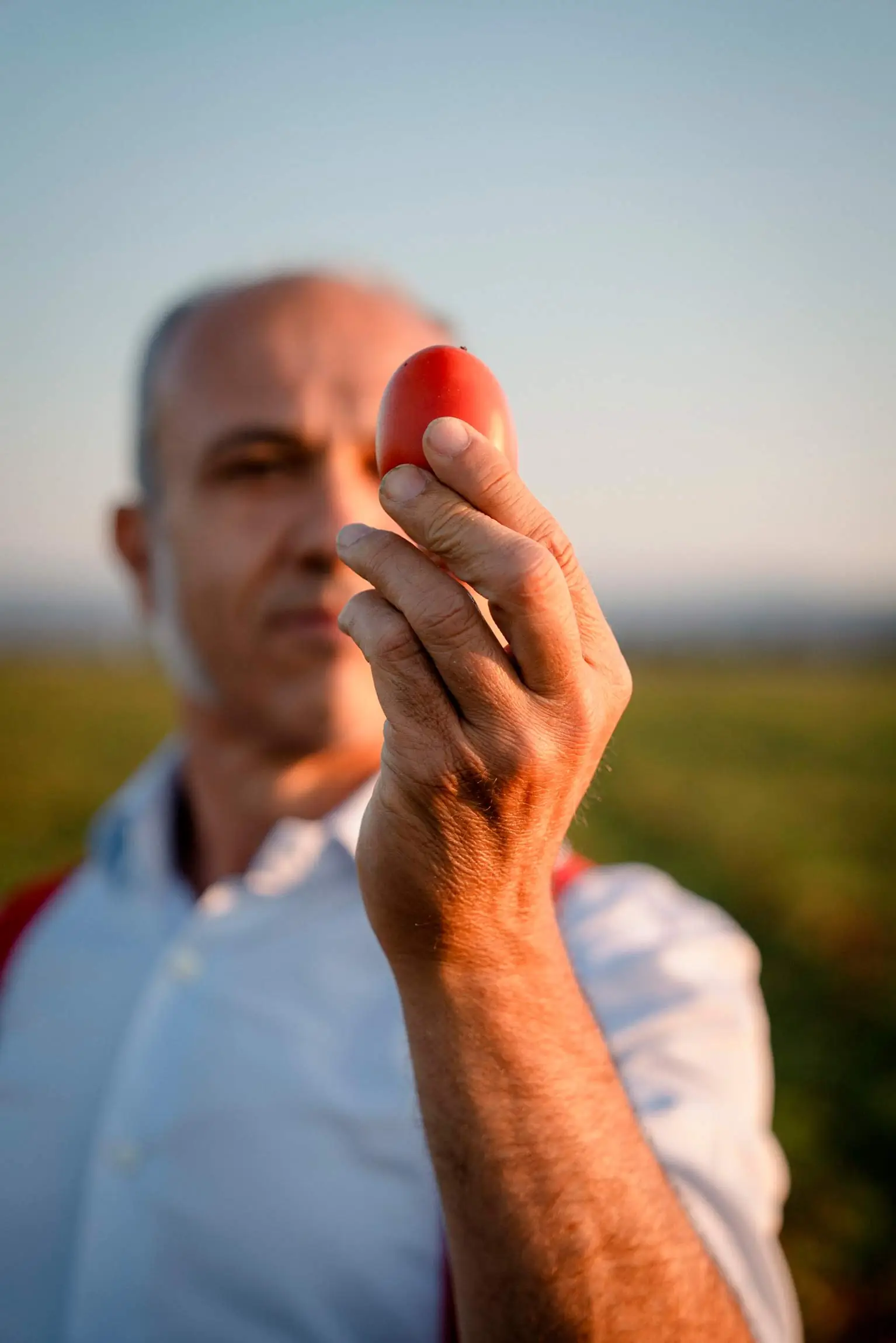 Man holding a fresh ripe tomato, highlighting the quality and freshness of Italian tomatoes.